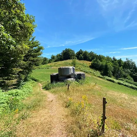 Mesec Zaplana Πανσιόν Vrhnika